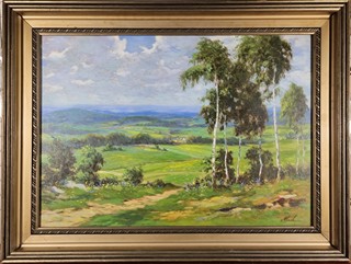 Oldřich Vlach - Břízy