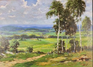 Oldřich Vlach - Břízy