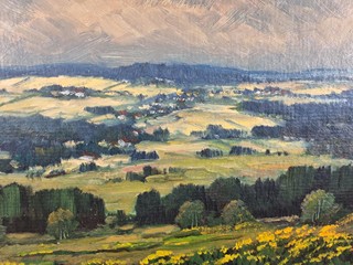 Štursa Jan - Mozaika v krajině