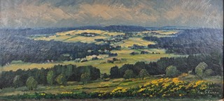 Štursa Jan - Mozaika v krajině
