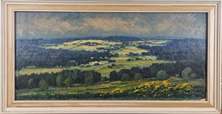 Štursa Jan - Mozaika v krajině
