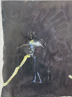 Novák Vladimír - Postava