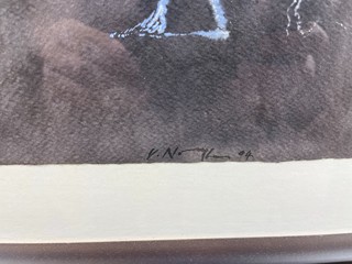 Novák Vladimír - Postava