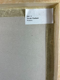 Novák Vladimír - Postava