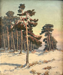 Havlata Karel - Borovice