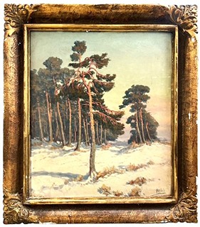 Havlata Karel - Borovice