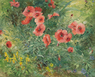 Oldřich Blažíček (1887 - 1953)
 - Poppy flower still life