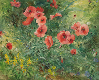 Oldřich Blažíček (1887 - 1953)
 - Poppy flower still life