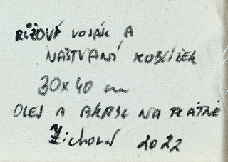 Tereza Zichová  (1992-) - Růžový voják a naštvaný koblížek