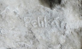 Pelikán Julius (1887 -1969)
