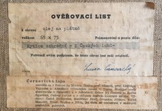 Černovická Luisa (1903 - 2008)