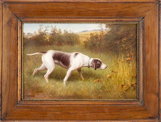 HUNTING DOG