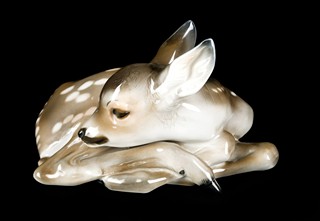 FAWN