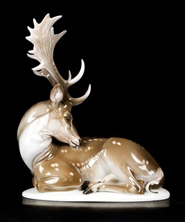 FALLOW DEER