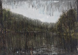 František Matoušek (1967) - Krajina