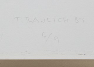 Tomáš Rajlich (1940*) - Untitled
