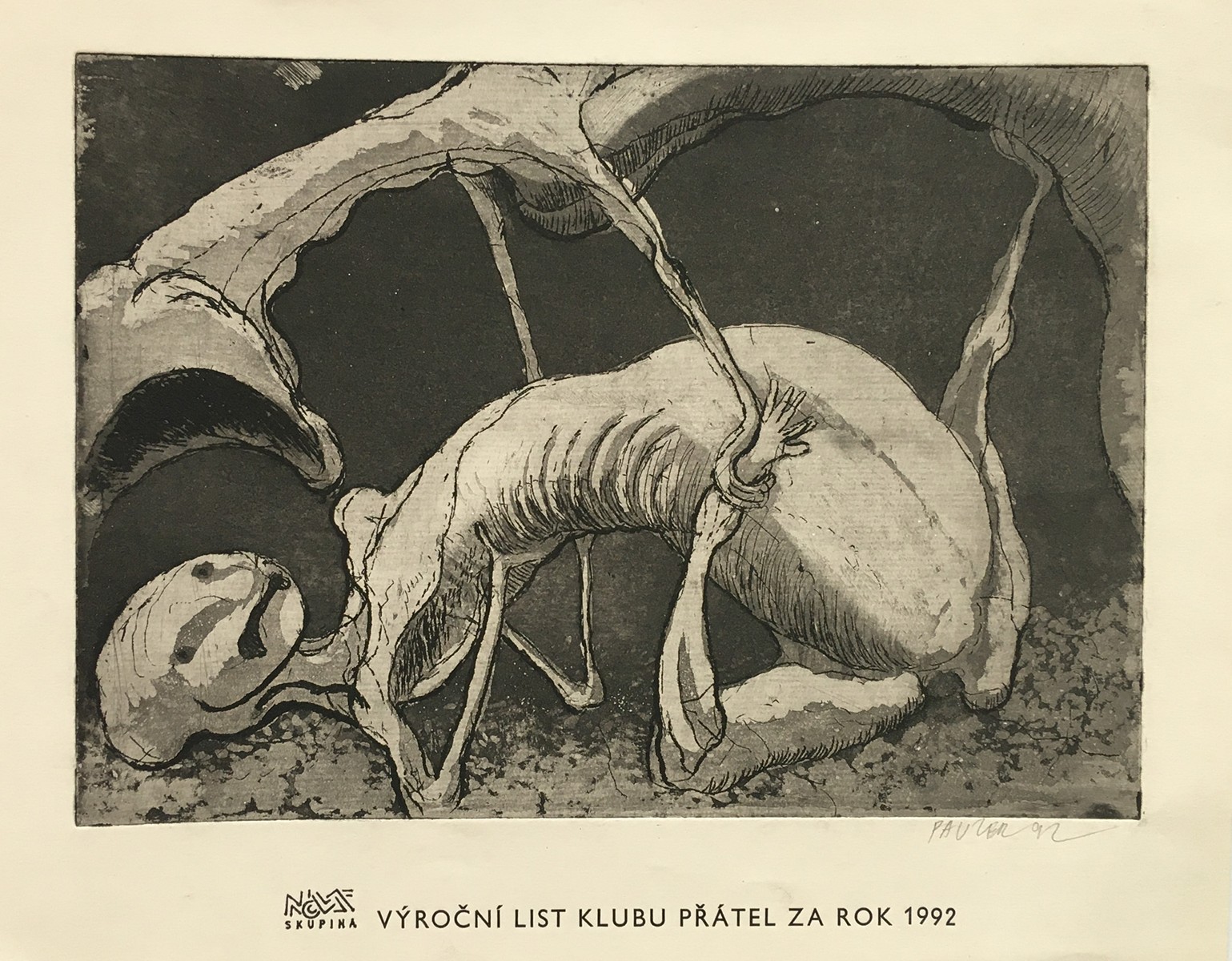 Karel Pauzer (1936) - Křik