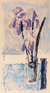 Stanislav Čáp (1928) - Kosatce