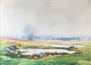 František Toman (1886 - 1942) - Krajina
