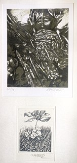 Jan Weber (1946) - Tvář, Květiny