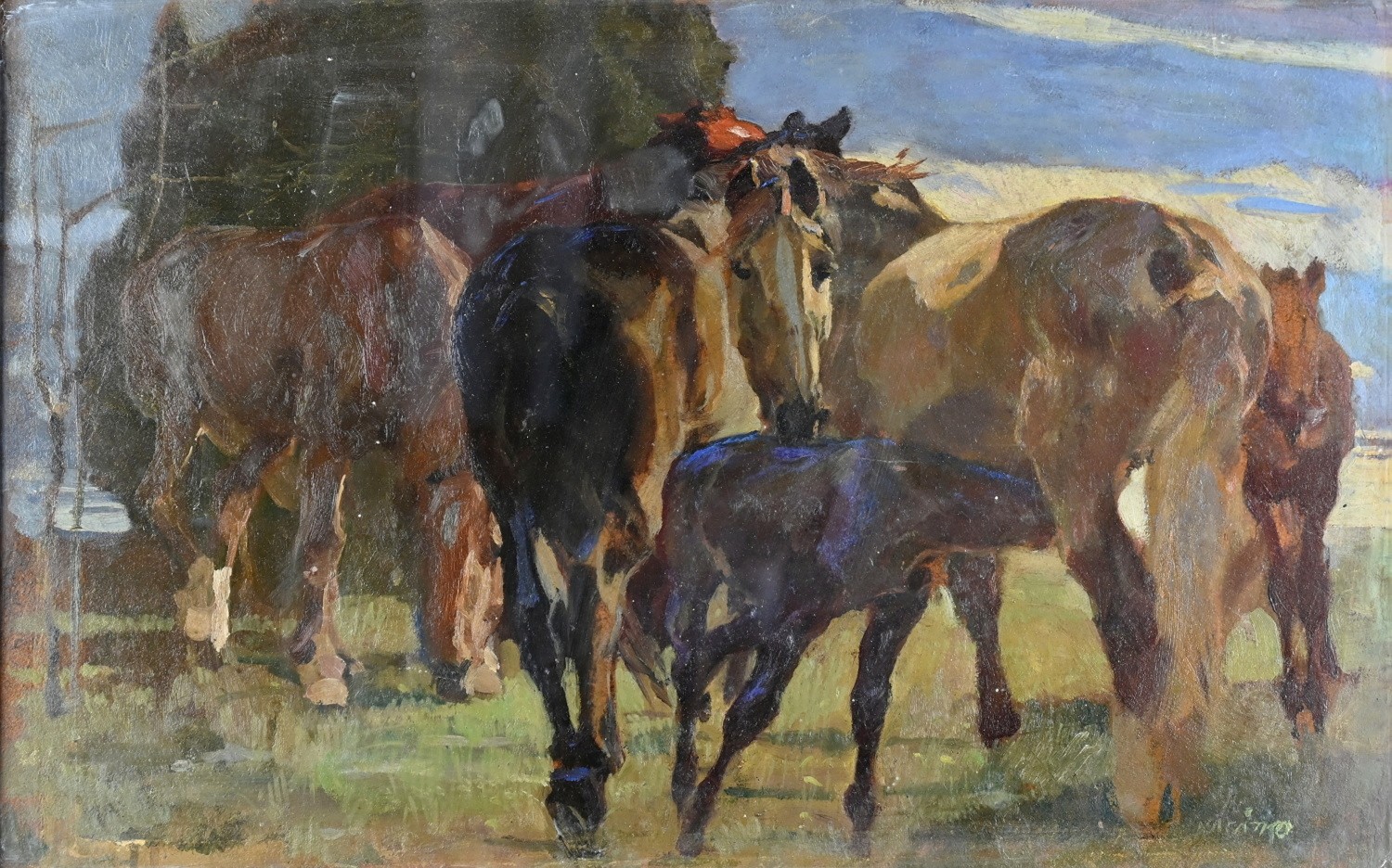 Ludvík Vacátko (1873-1956) - Koně
