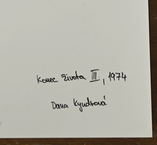 Dana Kyndrová (1955) - Konec života I.II.III-3 fotografie