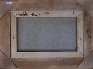 Vladimír Komárek (1928 - 2002) - Mládenec