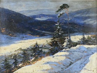 Václav Stein - Zima