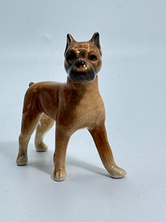 Malý boxer