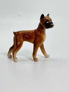 Malý boxer
