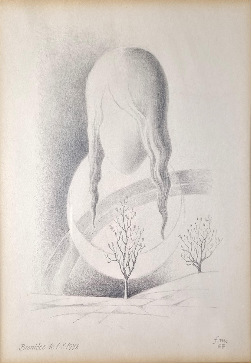 František Malý - Dívka zastřena duhou
