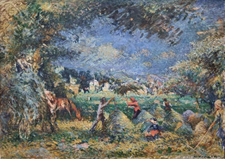Nowak Willi - Senoseč