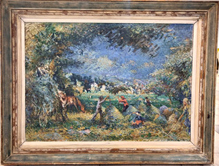 Nowak Willi - Senoseč