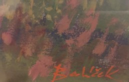 Balíček Karel (1904 - ?)