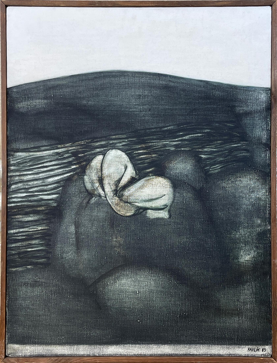 Pavlík Petr - Zárodek