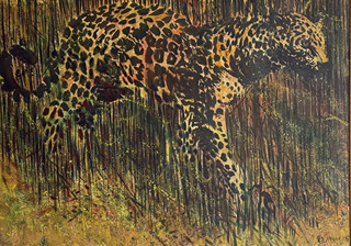 Nosek Boris - Levhart - mimikry