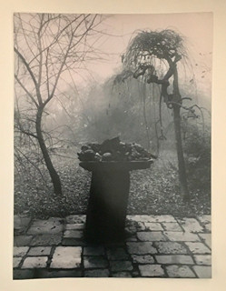 Sudek Josef (1896 - 1976) - Zátiší s vrbou