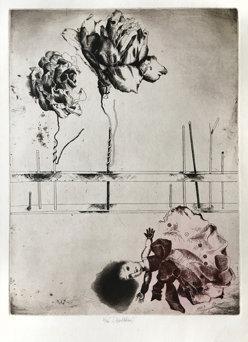 Dana Havlíčková (1946 - 1999) - Opus 5