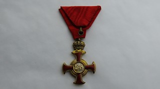 Zlatý záslužný kříž s korunou, Au, Braun