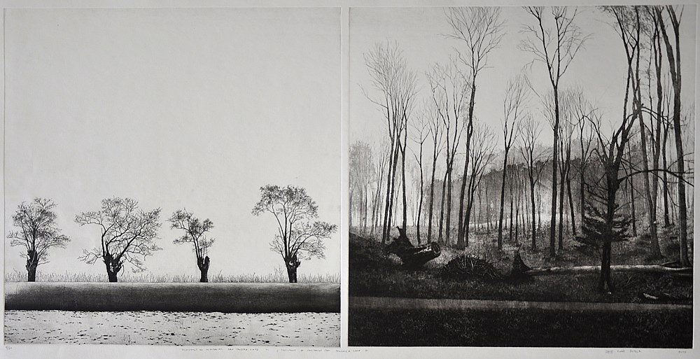 Tomáš Žemla (1984) - Testimony of Minimalism - Man touched Land II a IV (diptych)