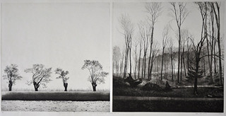 Tomáš Žemla (1984) - Testimony of Minimalism - Man touched Land II a IV (diptych)