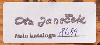 Ota Janeček (1919 - 1996) - Odkvetlé pampelišky