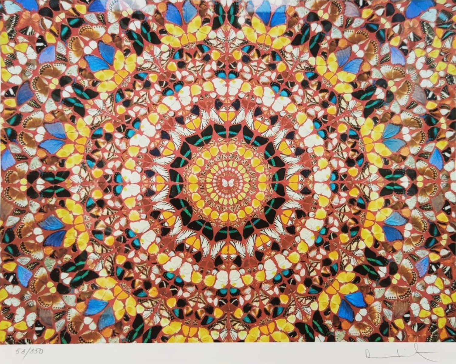 Damien Hirst (1965) - Butterflies