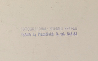 Zdenko Feyfar (1913-2001) - Galerie Mánes v noci