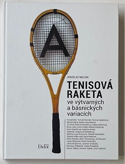 Antonín Vojtek (1934) - Míček v modrém