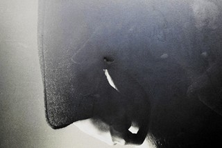 STANO Tono (*1960): Súčasník a kamene.