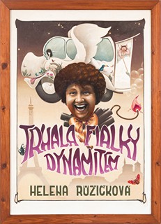 Helena Růžičkováhe plucked violets with dynamite