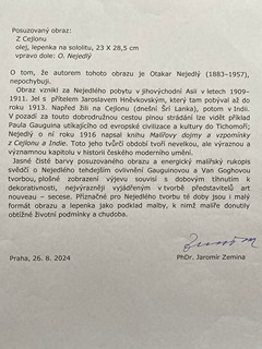Otakar Nejedlý - Pod cejlonskými palmami
