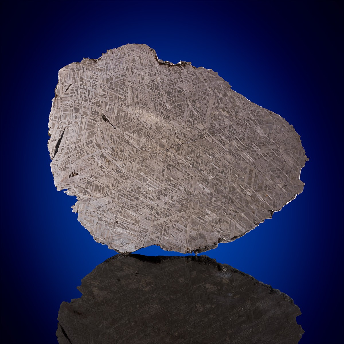 Muonionalusta - endcut