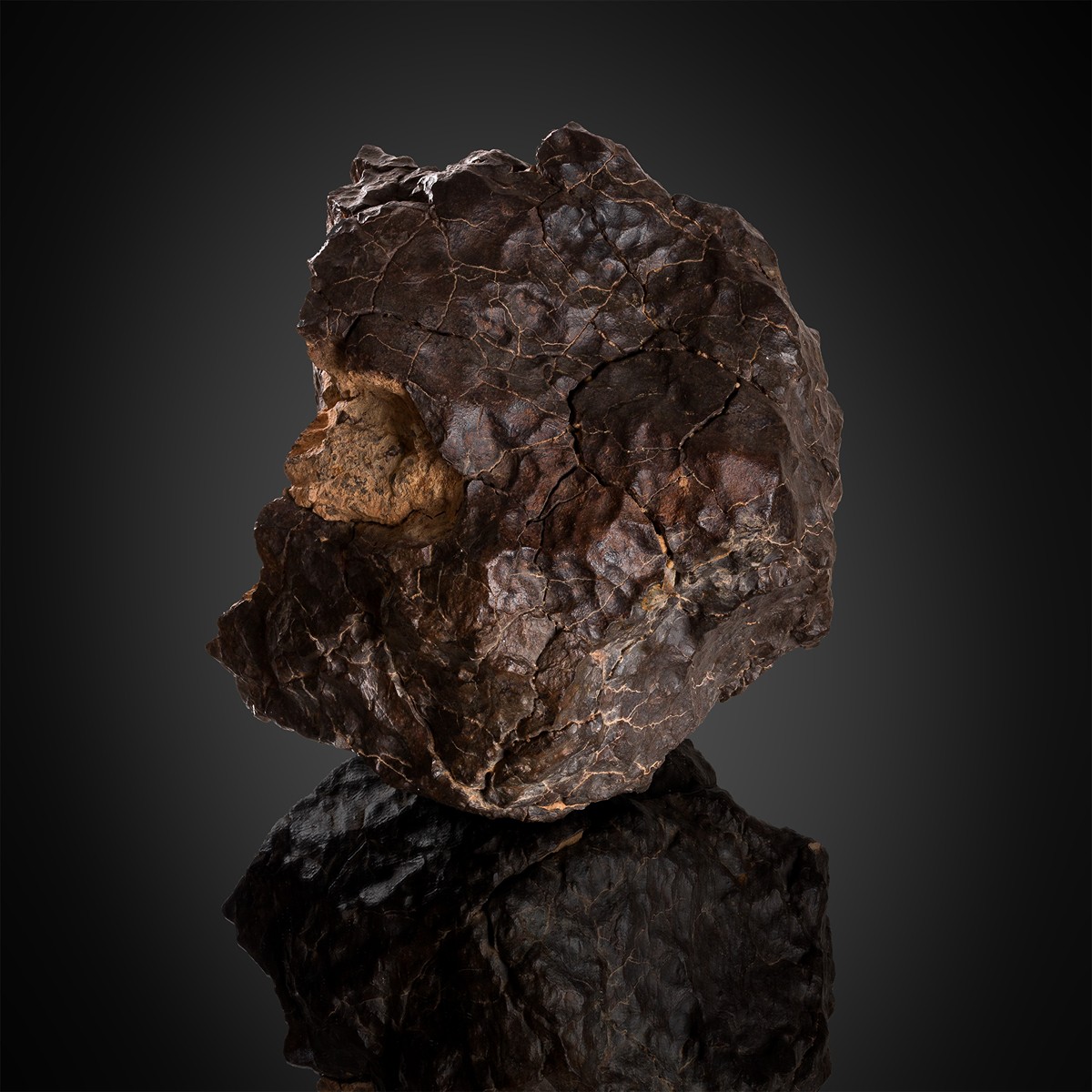 Meteorite | Chondrite | 17190g